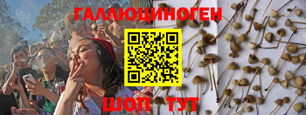 Крымск  Псилоцибиновые грибы MAGIC MUSHROOMS  Псилоцибиновые грибы Magic Shrooms  где продают   Вход с VPN 
